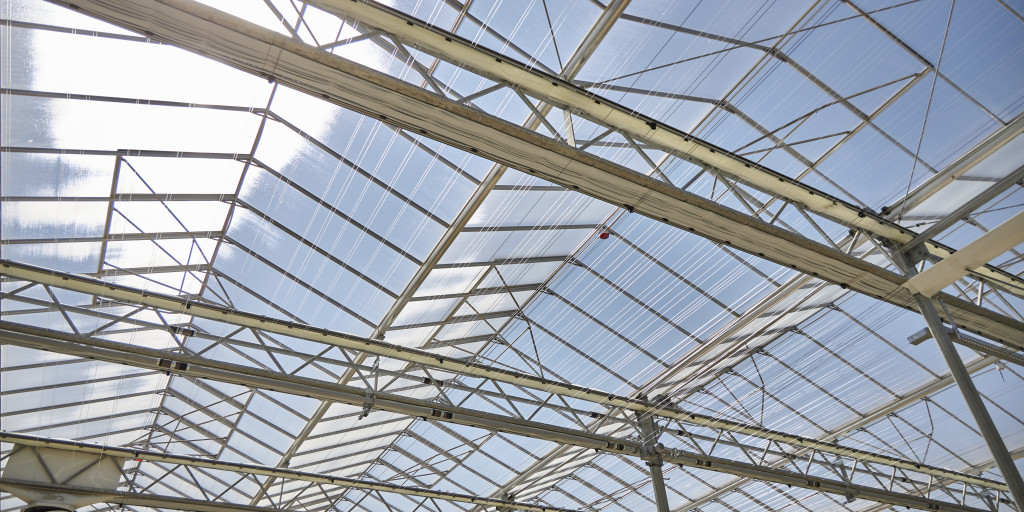 Agrotopia licht
