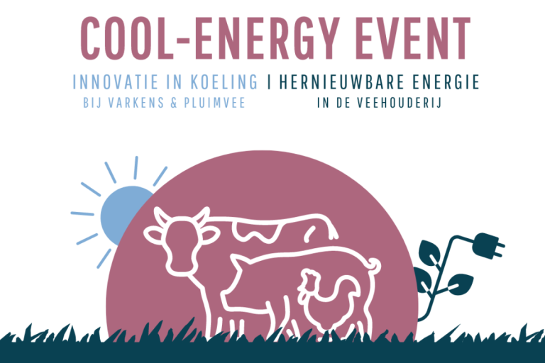 Infofiche Coolpigs