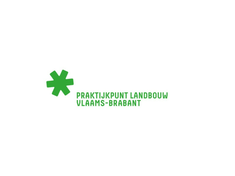 logo praktijkpunt